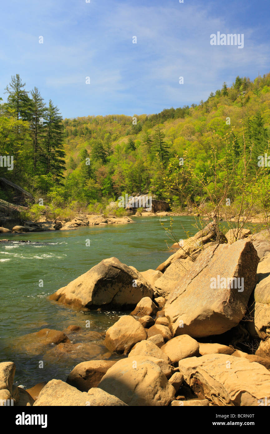 O W Cumberland River Grand Rapids South Fork River National Recreation Area et l'Oneida Florida Banque D'Images