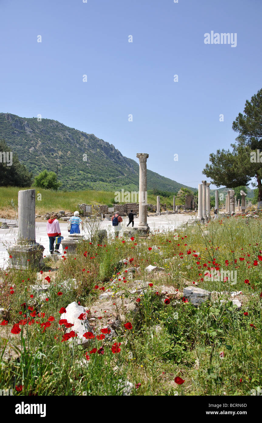 La rue à colonnades, ville antique d'Éphèse, Selcuk, Izmir, Turquie Province Banque D'Images