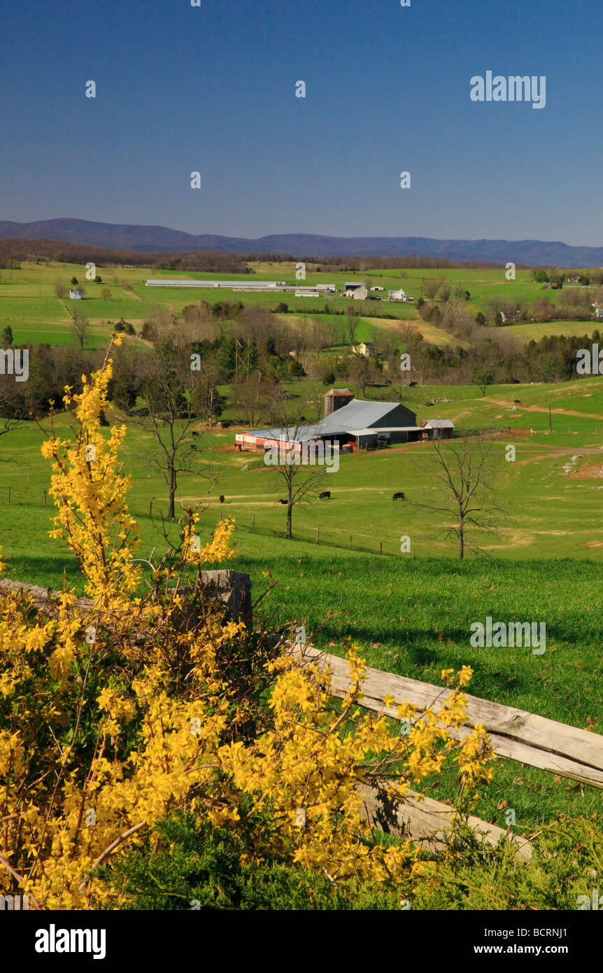 Scène de ferme Springhill vallée de Shenandoah en Virginie Banque D'Images
