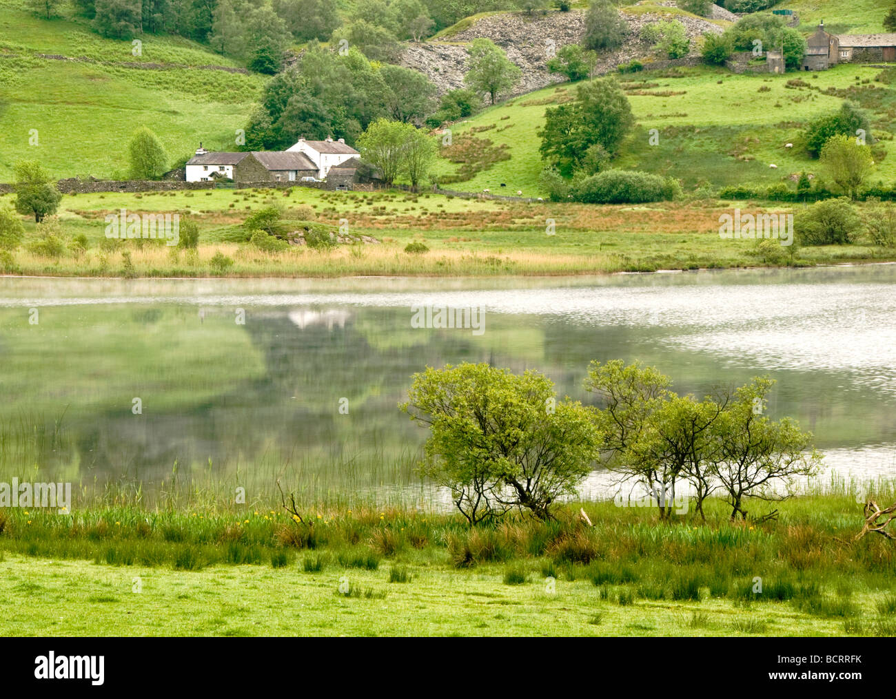 Peu de Langdale Tarn, Little Langdale, Parc National de Lake District, Cumbria, England, UK Banque D'Images