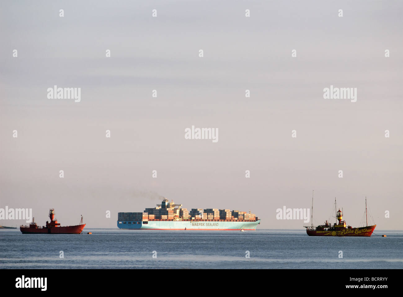 Porte-conteneurs Maersk Sealand, Felixstowe, Suffolk, UK. Banque D'Images