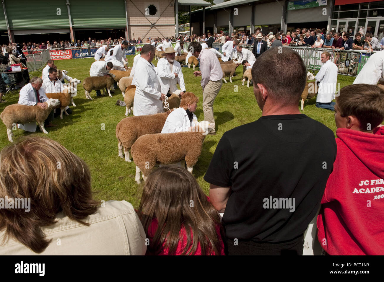 Foule de spectateurs regardant le jugement de bétail dans une piscine moutons anneau au Royal Welsh Show event agricole Banque D'Images