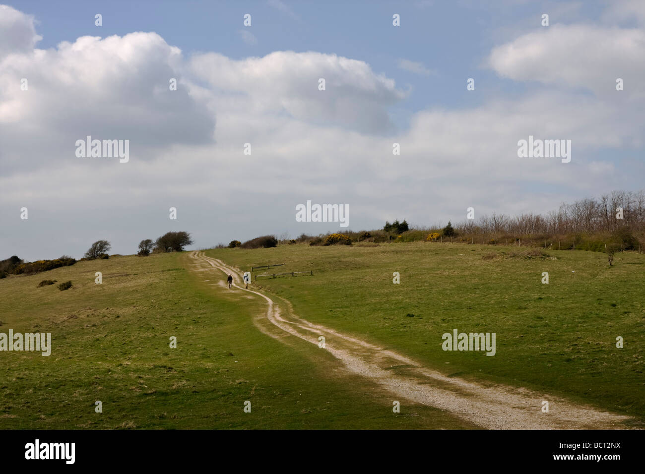 Allée cavalière sur Mottistone vers le bas, à l'île de Wight, Royaume-Uni Banque D'Images