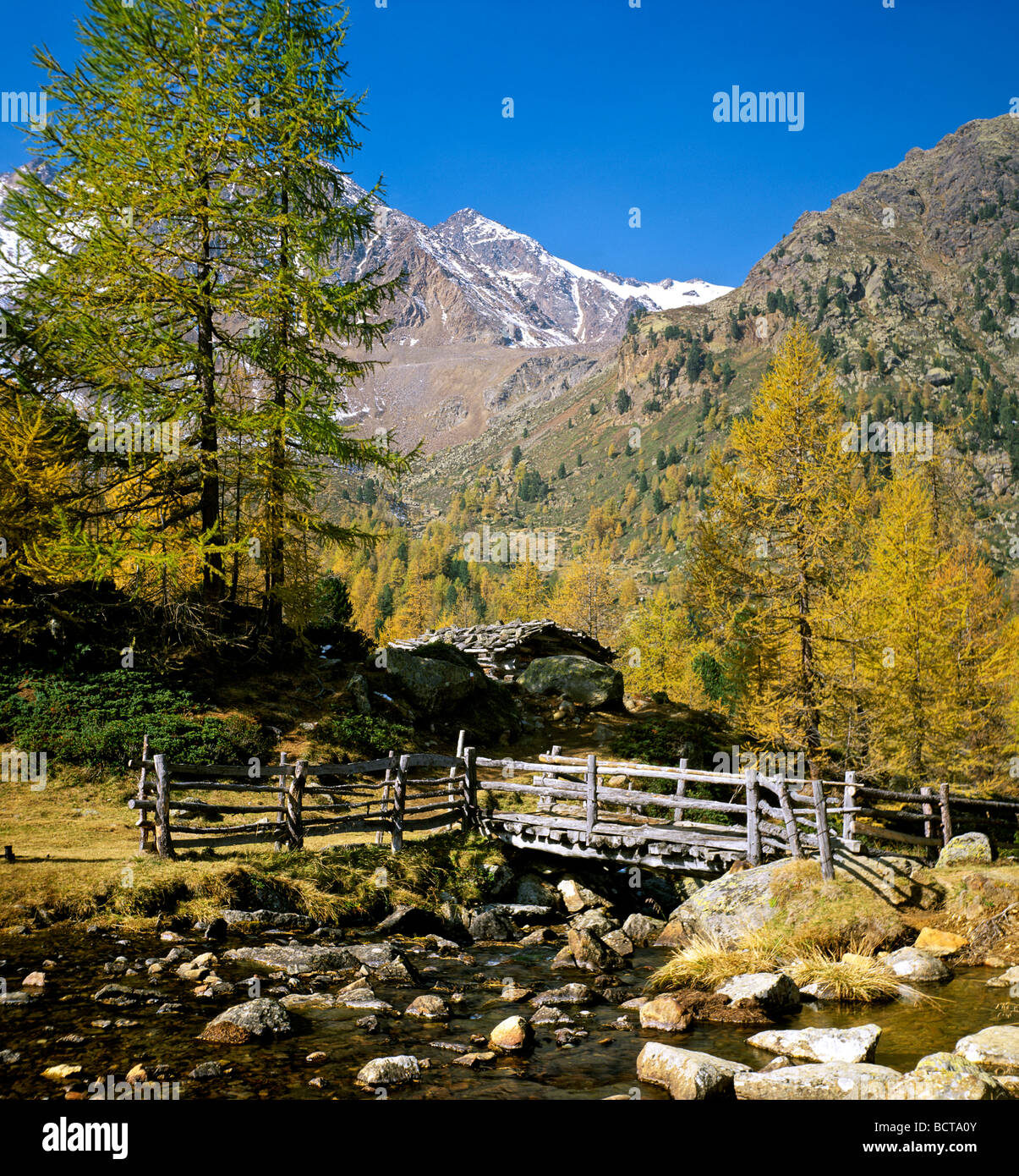 Sentier de randonnée, Weissbrunnalm, Oberes Ultental vally, montagnes Ortler, Tyrol du Sud, Italie, Europe Banque D'Images