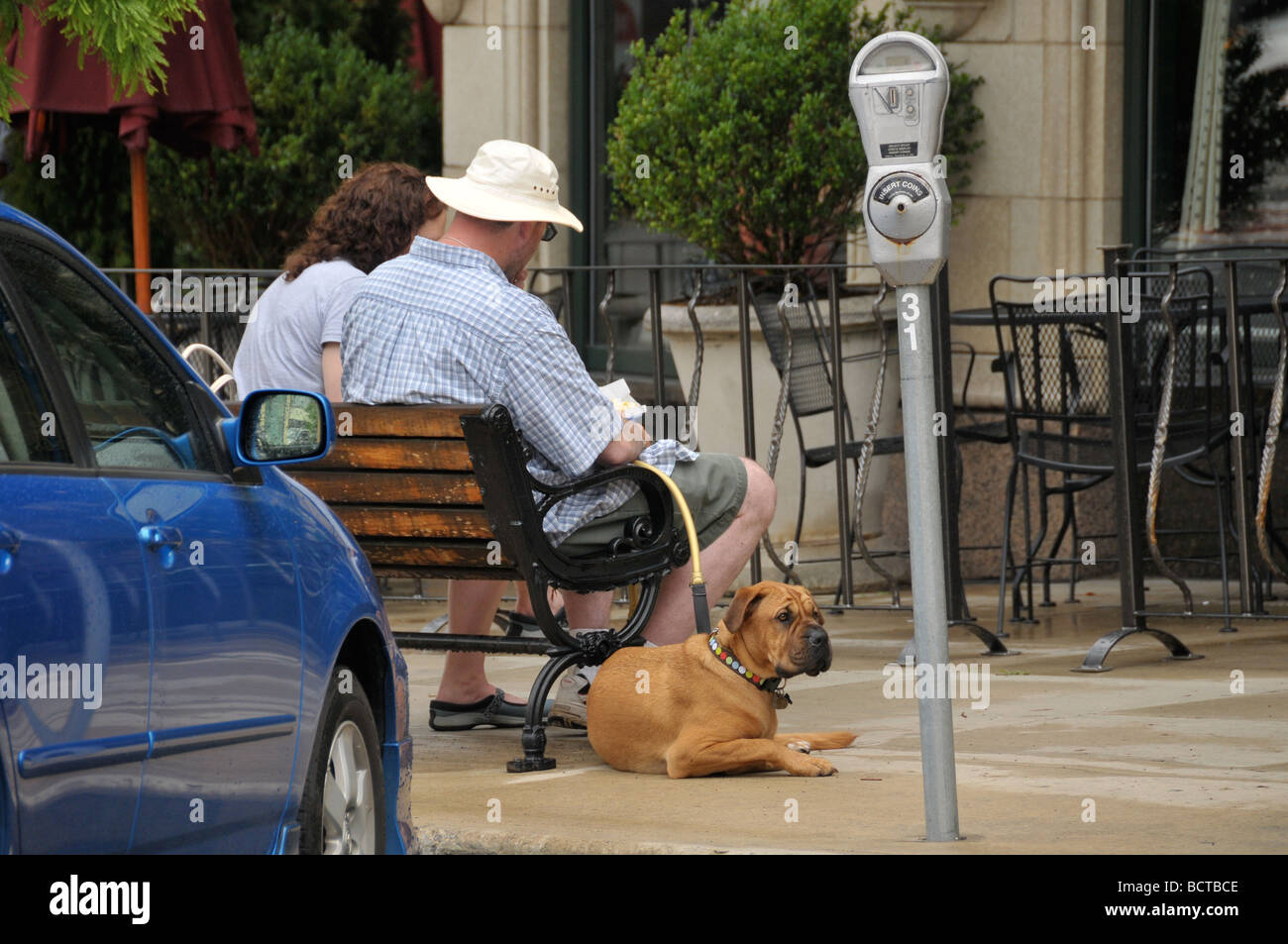 Couple avec chien Boxer à Asheville, NC, USA Banque D'Images