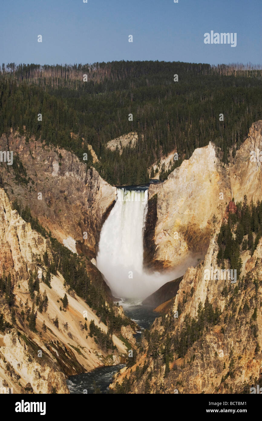 Lower Falls Canyon Village Parc National de Yellowstone au Wyoming USA Banque D'Images