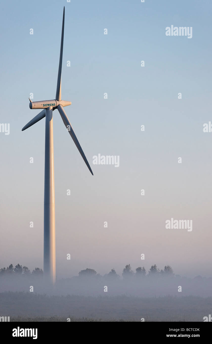 Près de l'éolienne Tjerkwerd, Frise, Pays-Bas. Banque D'Images