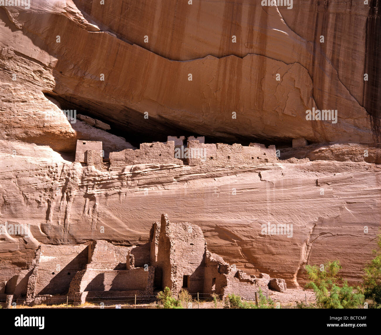 Mesa Verde, Cliff dwellings par les Anasazis, Cliff Palace, Colorado, USA Banque D'Images