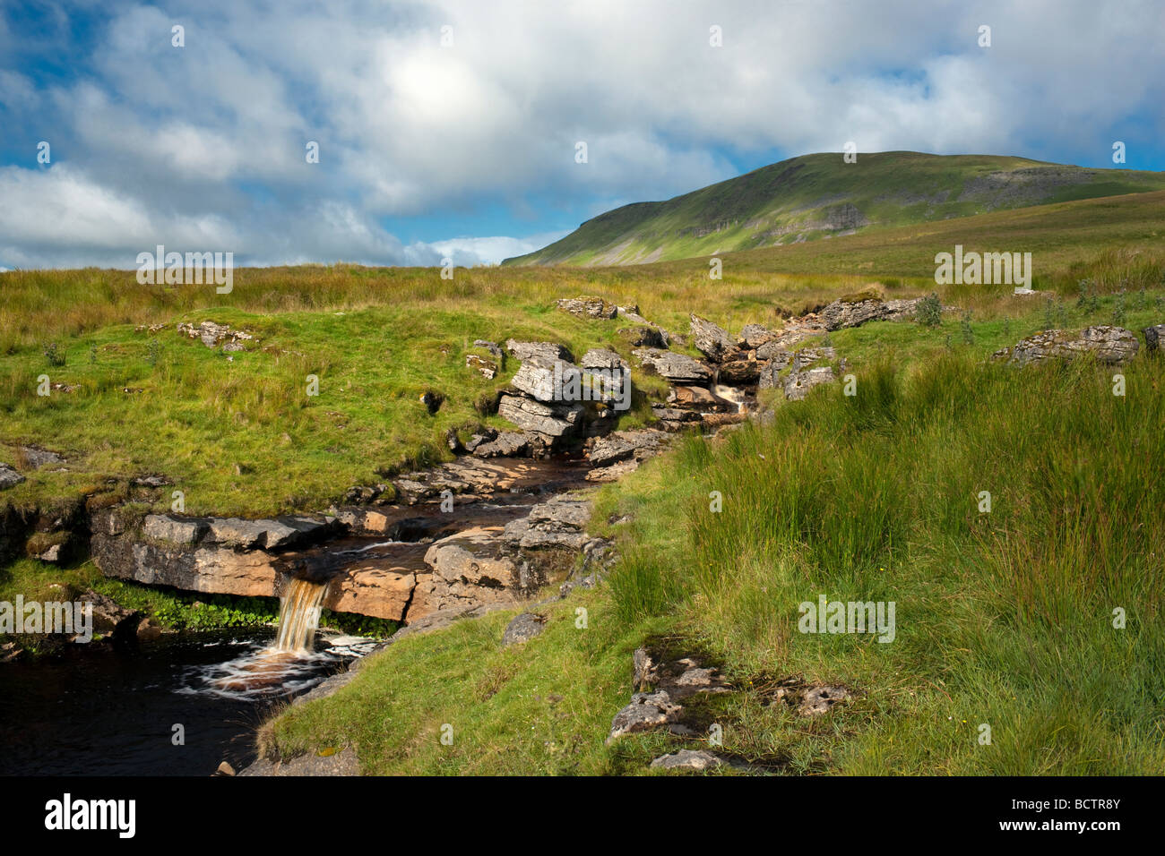 Jusqu'à Crooke Gill aux pistes de Pen-y-ghent Yorkshire, UK Banque D'Images