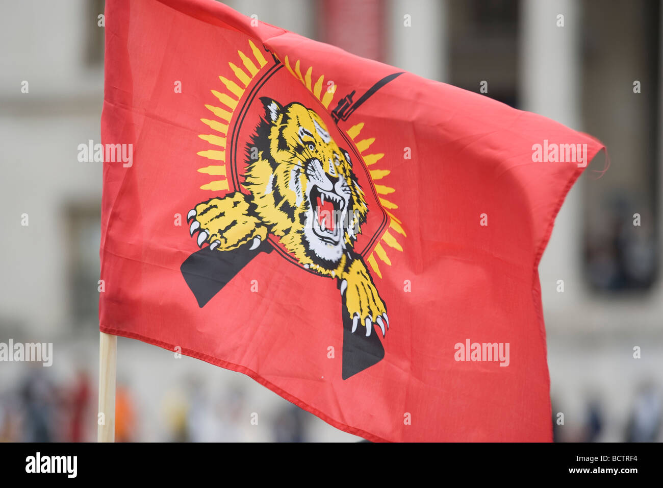 Les Tigres tamouls drapeau flotte à Trafalgar Square Banque D'Images