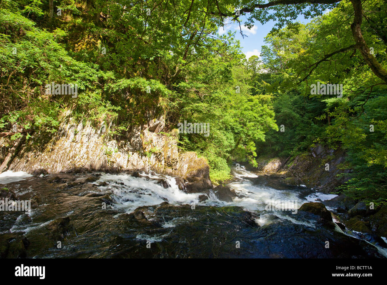 Swallow Falls Chutes Cascade River Llugwy en été soleil Juillet Betws-Y-Coed Conwy dans le Nord du Pays de Galles Cymru UK United Kingdom Banque D'Images