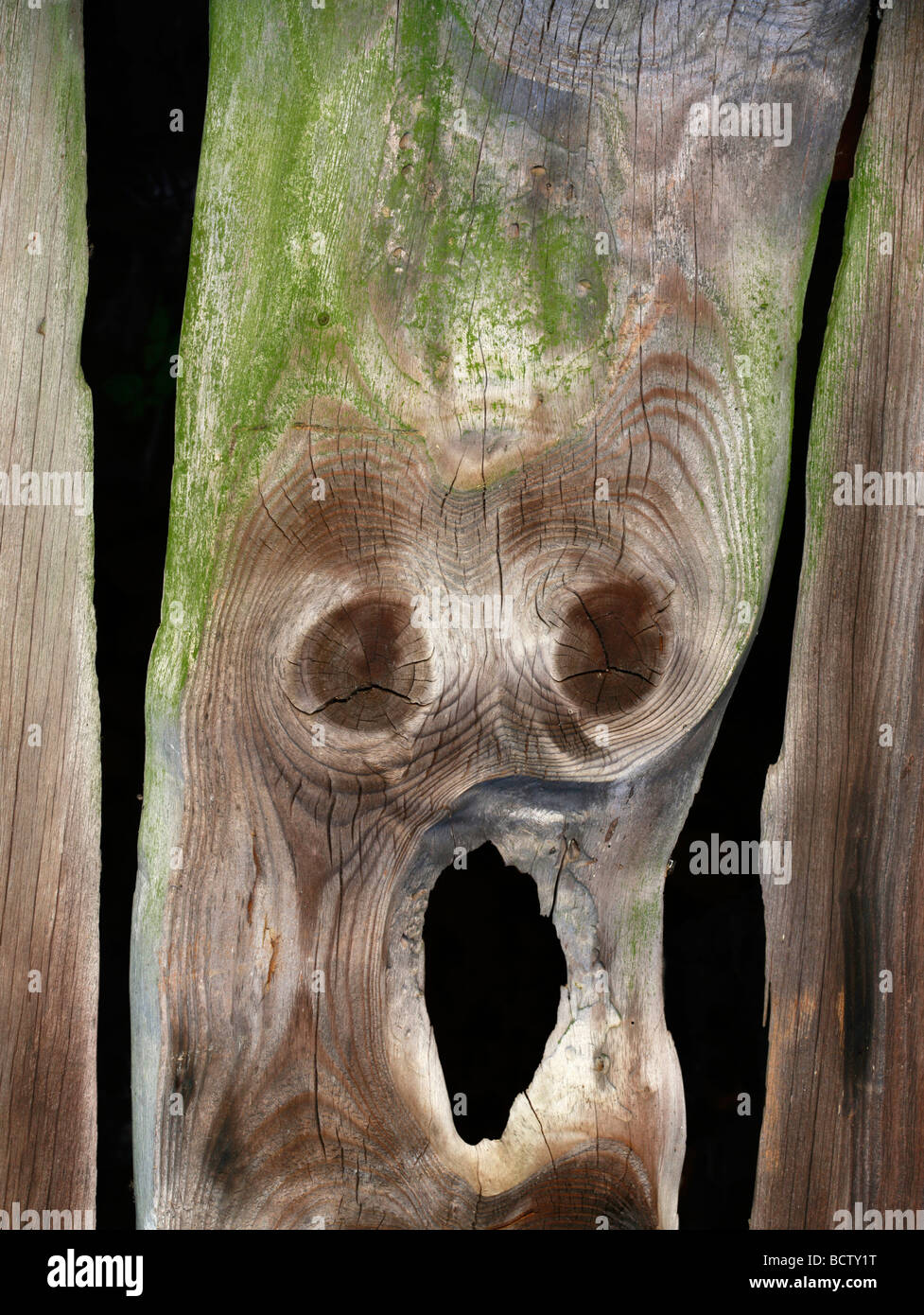 Planche de bois avec un visage, le cri, Edvard Munch, cernes, ghost, alien, la peur Banque D'Images