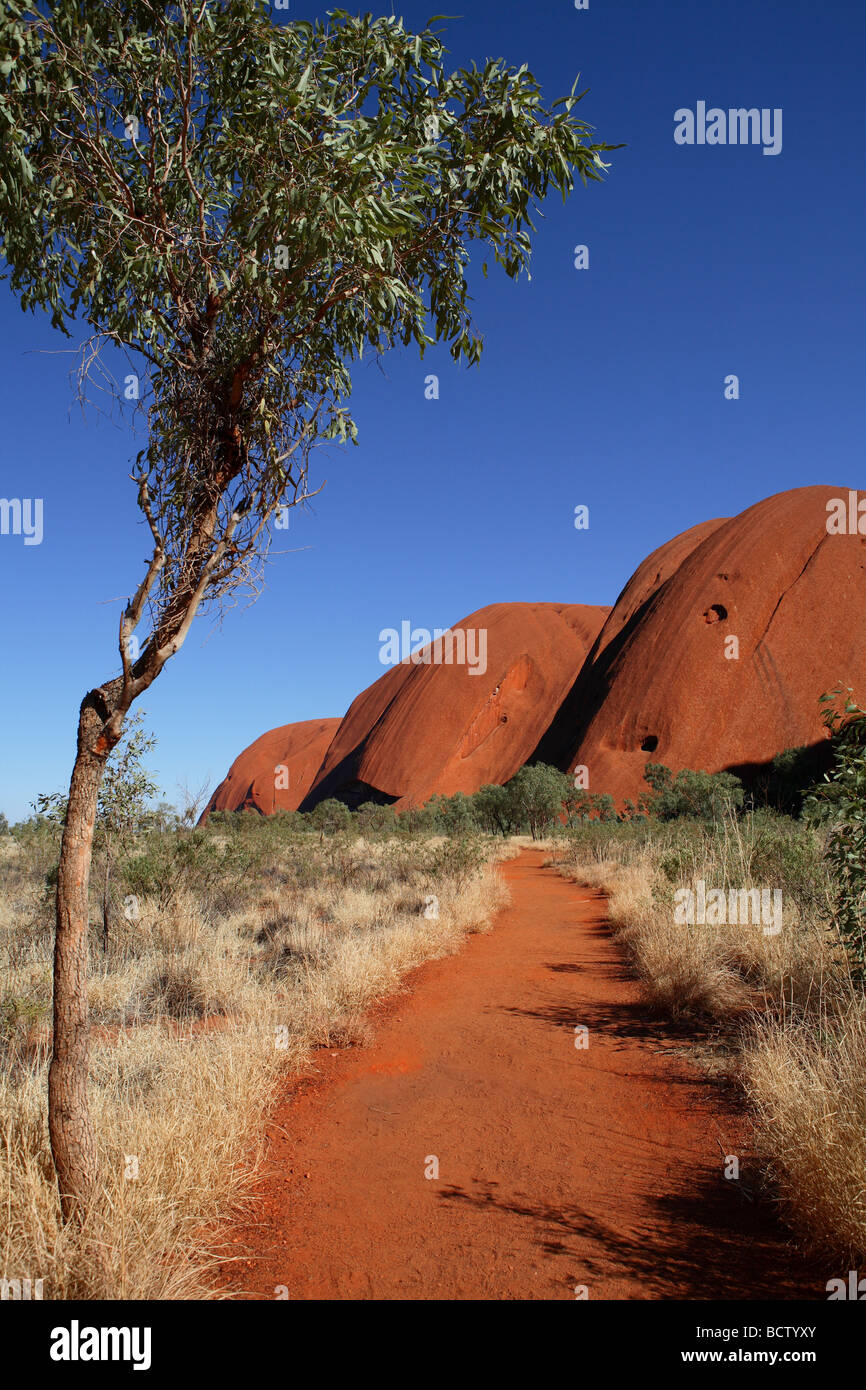 La base d'Uluru à pied le centre de l'Australie Banque D'Images