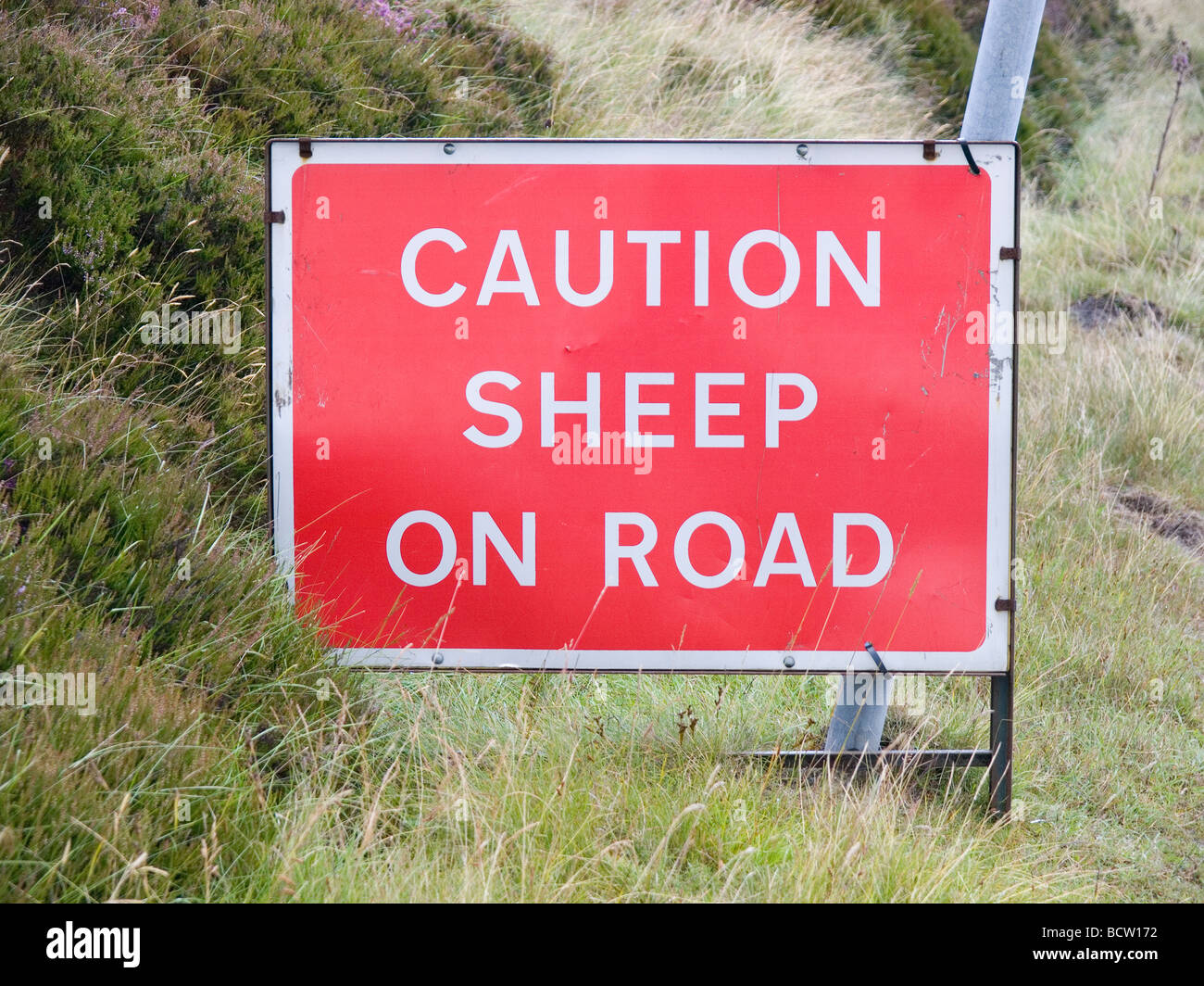 Inscrivez-Avertissement Attention Moutons sur route dans le North Yorkshire Moors Banque D'Images