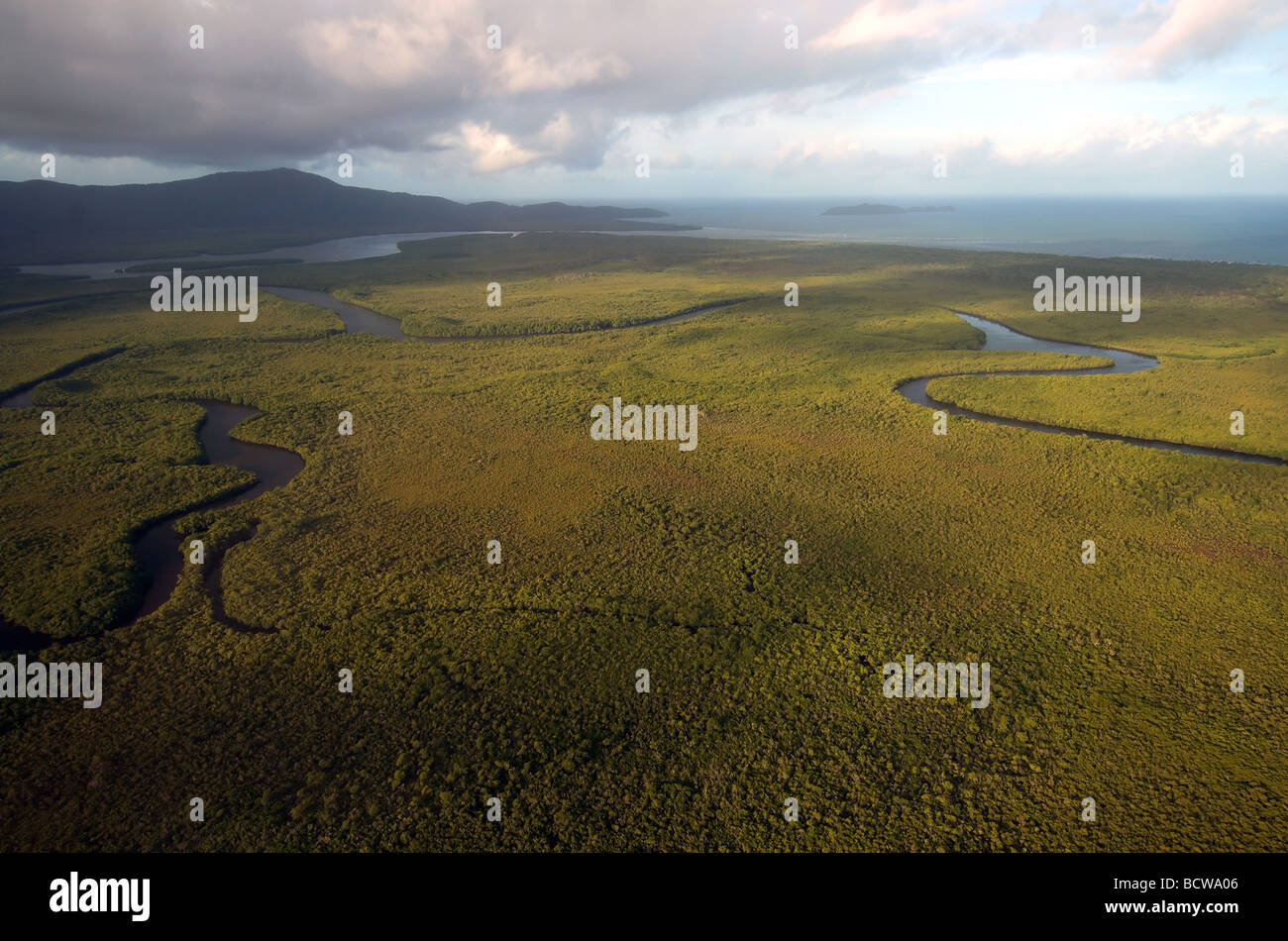Vue aérienne de la forêt de mangroves à l'embouchure de la rivière Daintree Cape, avec en arrière-plan de Kimberley, parc national de Daintree Banque D'Images