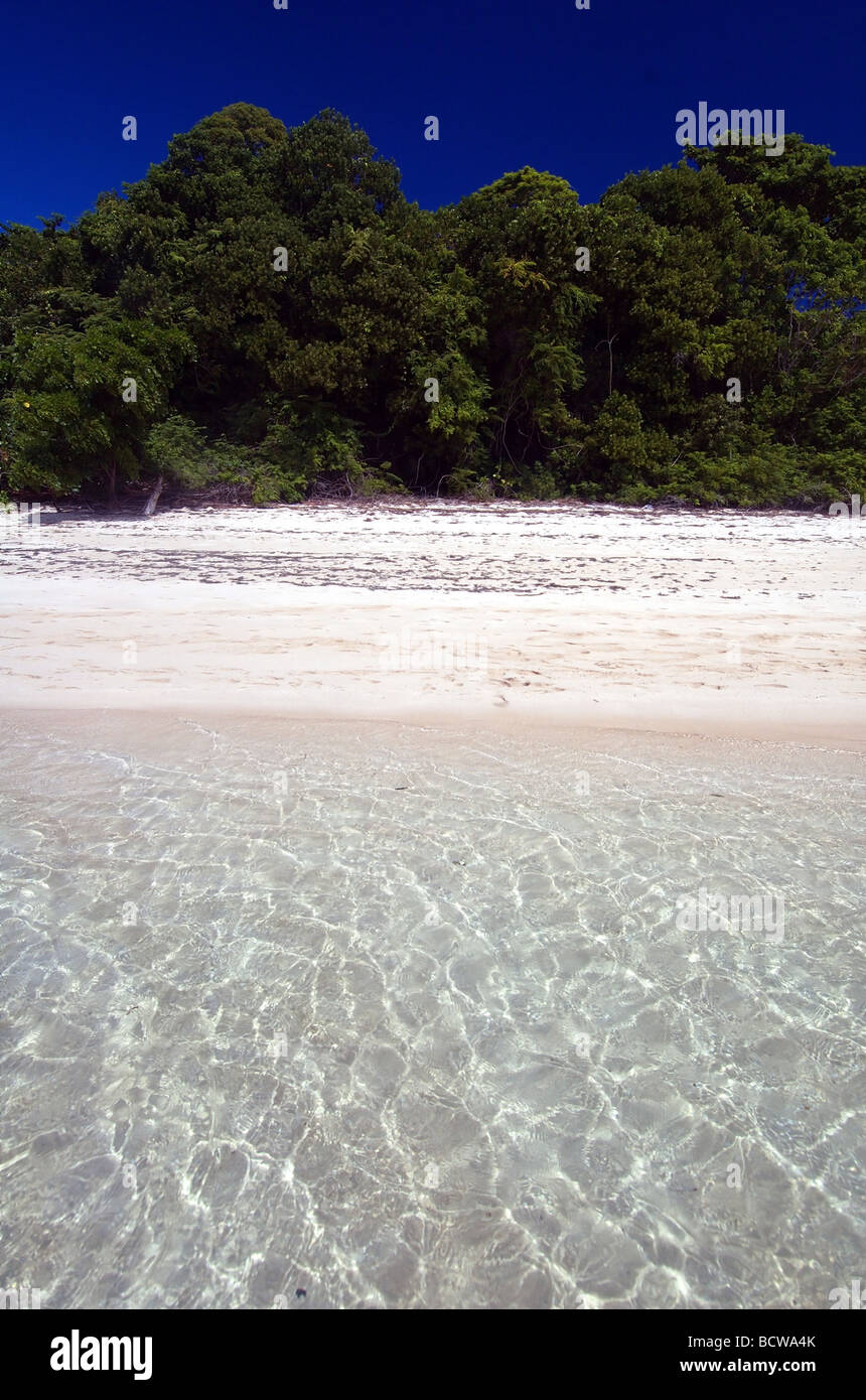 Plage sur Green Island National Park, Great Barrier Reef Marine Park, près de Cairns, Queensland, Australie Banque D'Images