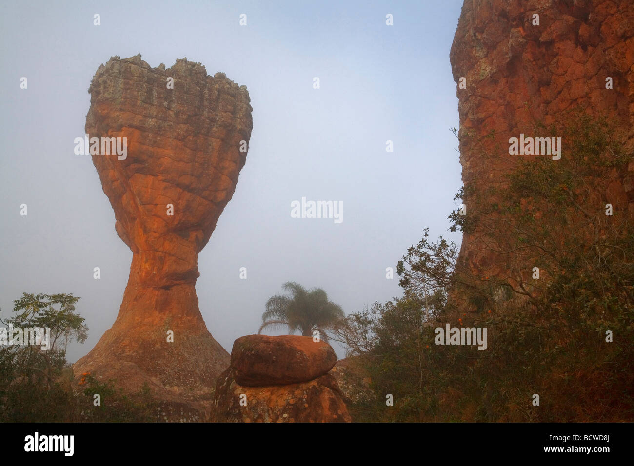 Rocher en forme de coupe dans un champ, un Taca, Vila Velha State Park, Ponta Grossa, État du Parana, Brésil Banque D'Images