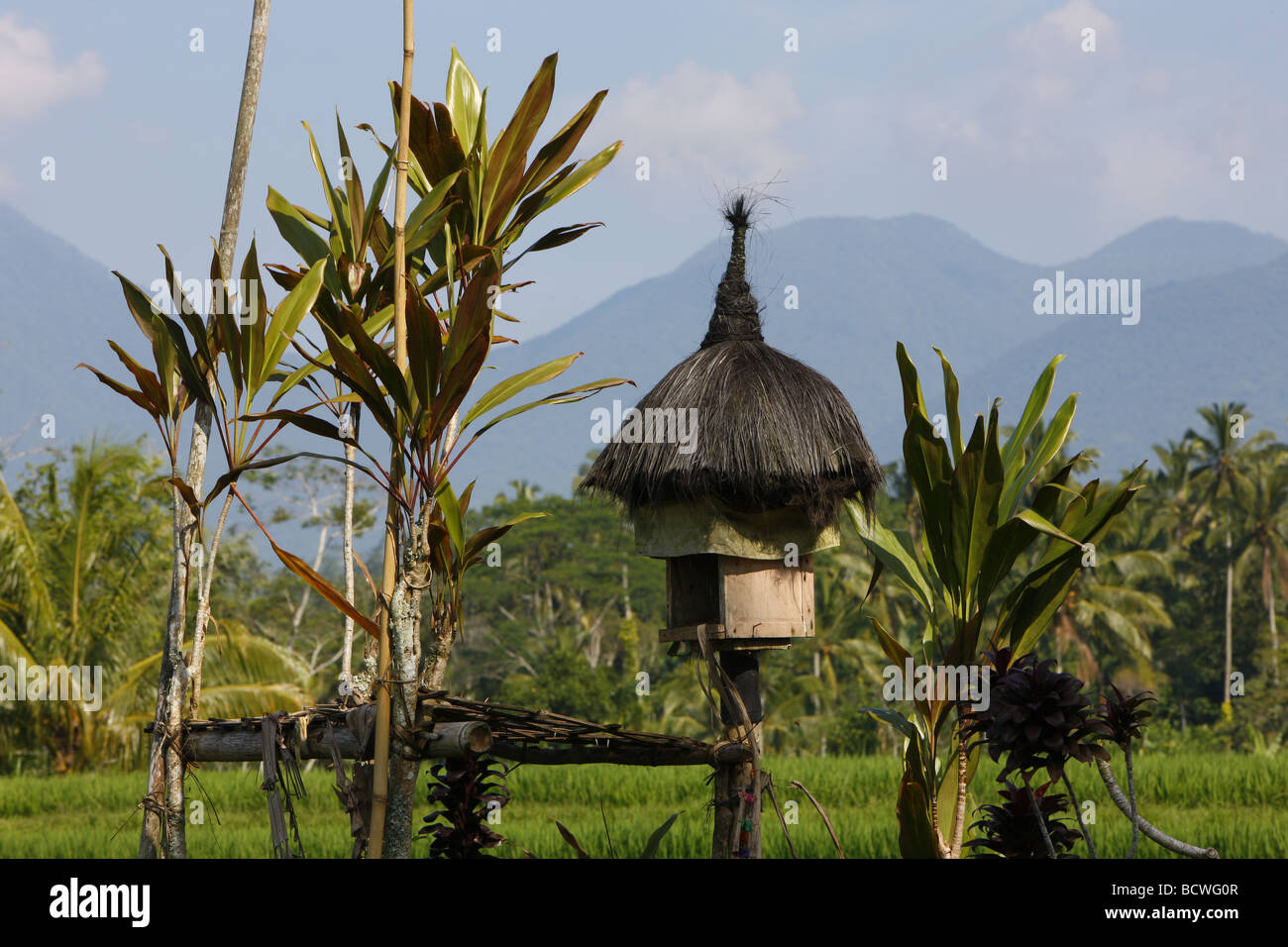Les champs de riz, le Mont Lesung, volcan, Bali, Indonésie, Asie du sud-est Banque D'Images
