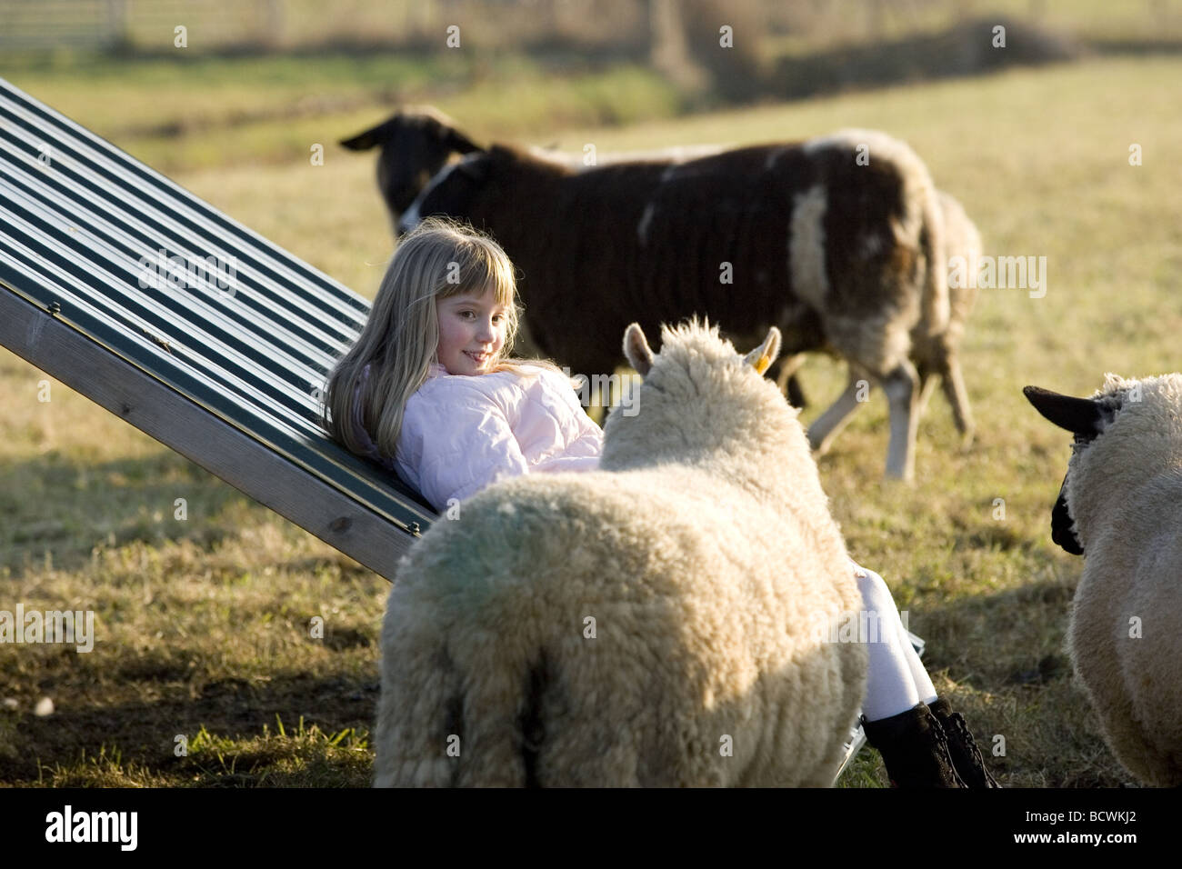 Farmer's Daughter lonely jouer animal animaux de ferme entre les rails de la solitude Banque D'Images