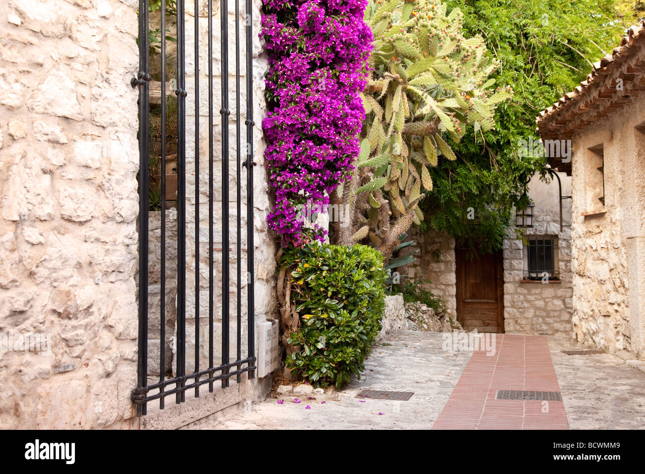 Des fleurs et des bâtiments en pierre à Eze, Provence France Banque D'Images