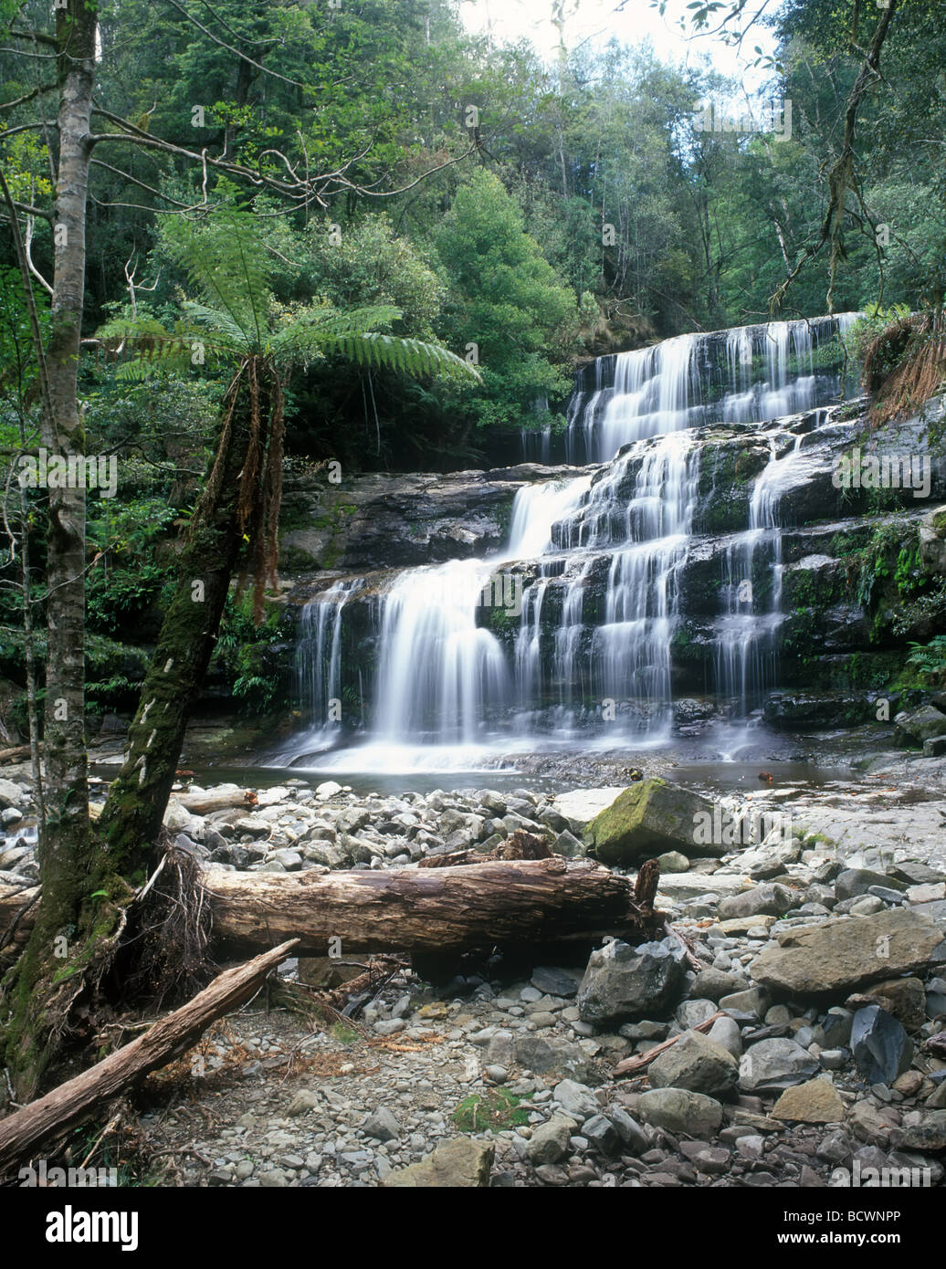La Tasmanie Liffey Falls Niveaux Ouest Australie Banque D'Images