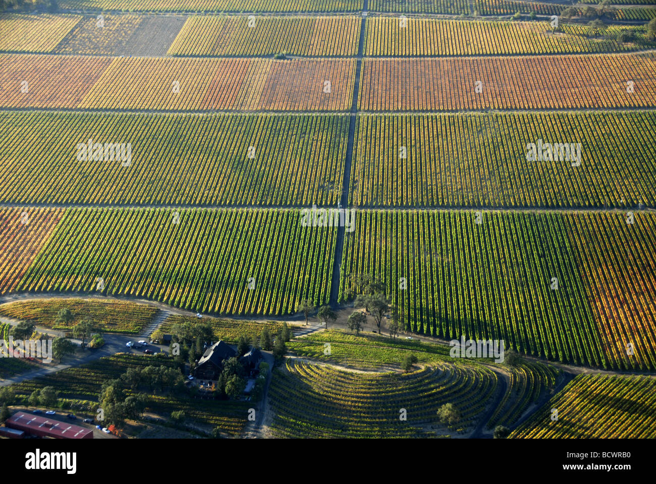 Se préparer pour le vol en montgolfière sur le Comté de Sonoma, en Californie Banque D'Images