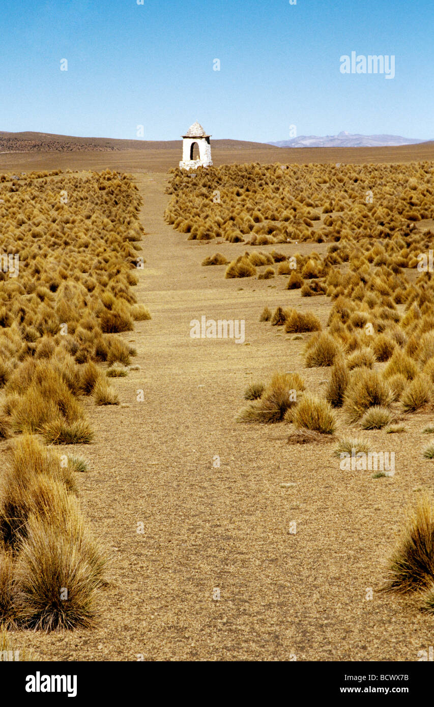 Chemin/ Sajama conduites menant à un refuge. Le parc national de Sajama, Bolivie, Amérique du Sud Banque D'Images