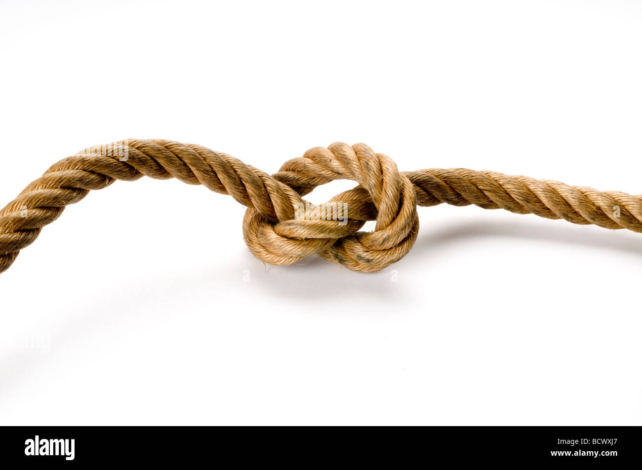 Rope knot on white Banque D'Images