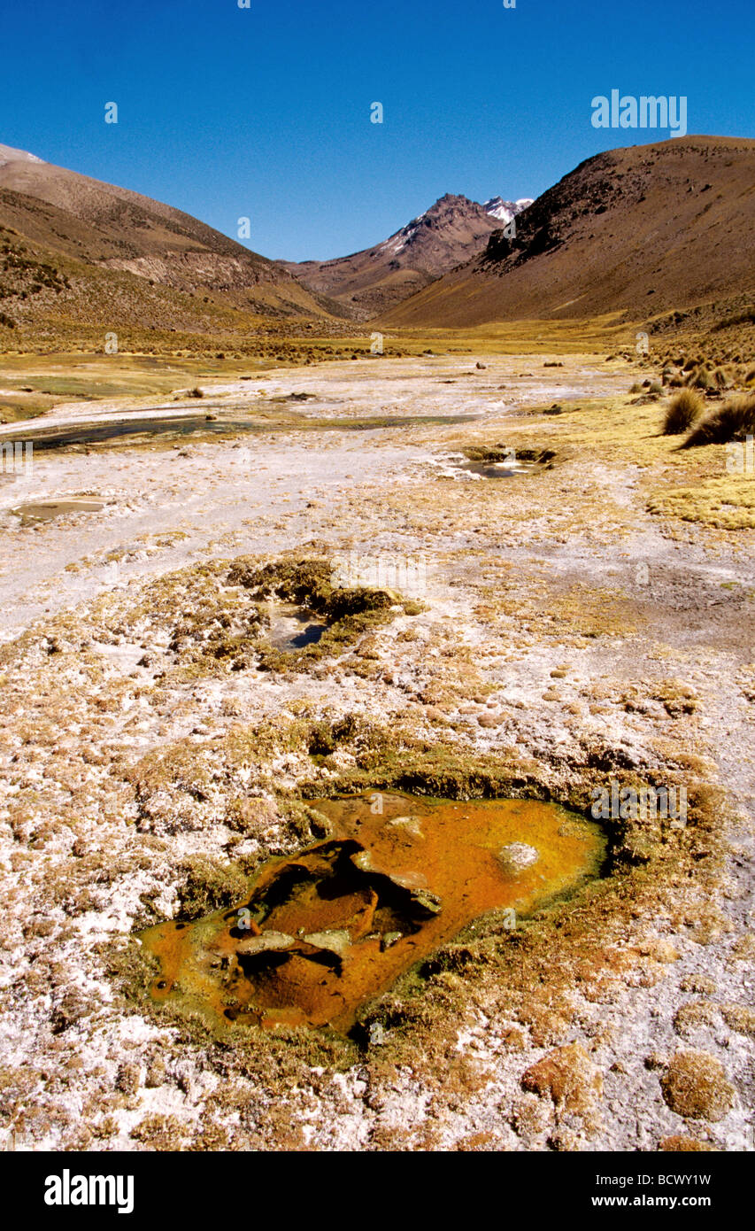 Geysers dans le parc national de Sajama, Bolivie, Amérique du Sud Banque D'Images