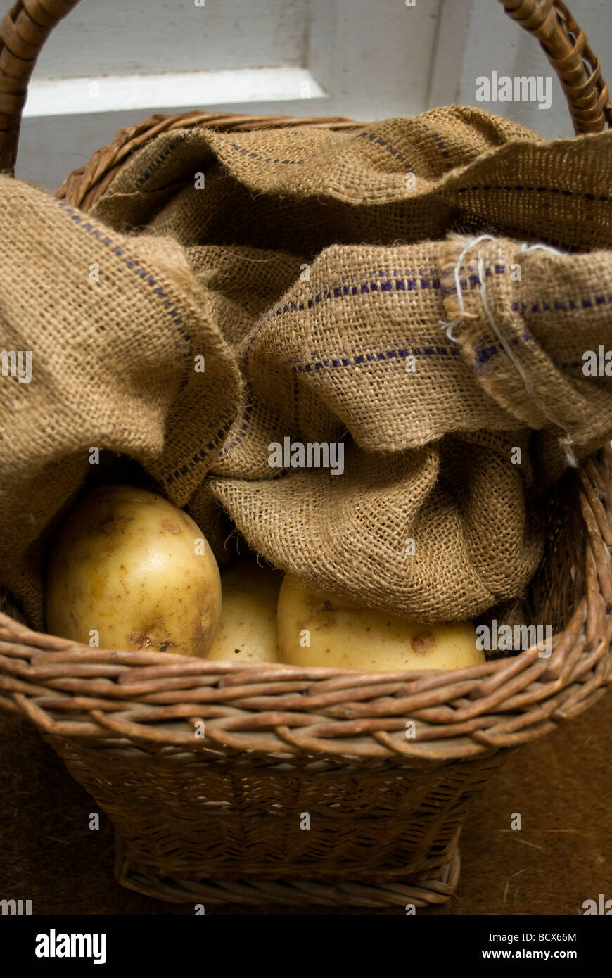 Dans les pommes de terre dans un panier de Hesse. Banque D'Images