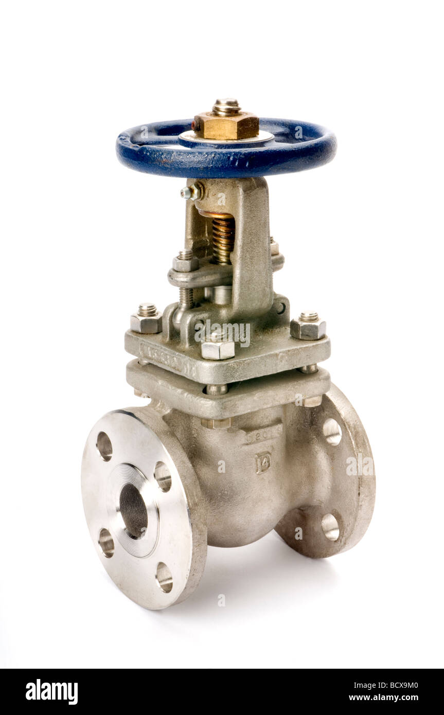 Grande porte clapet sur white Banque D'Images