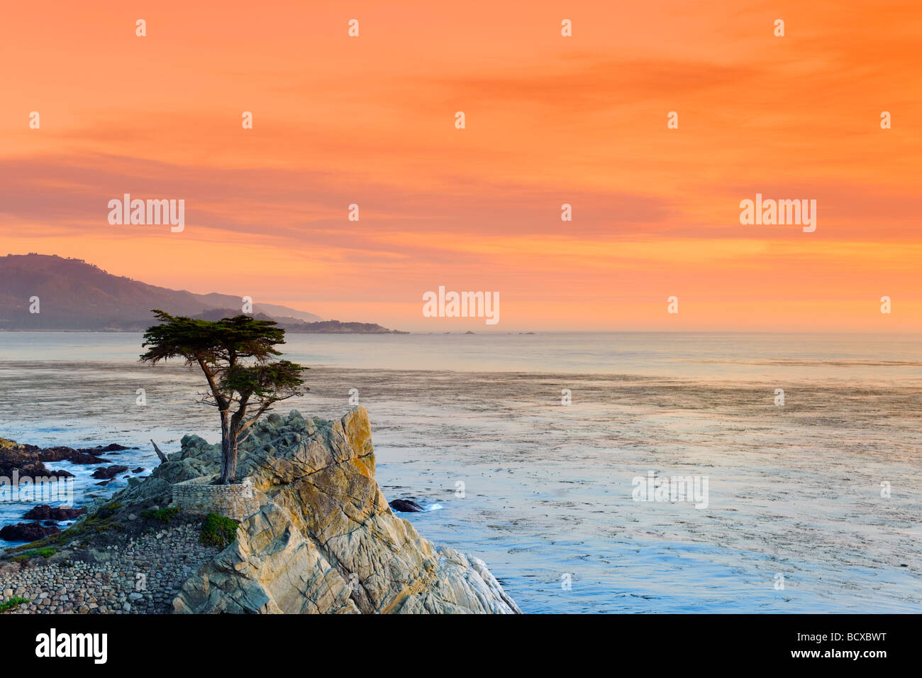 USA Californie péninsule de Monterey 17 mile drive Lone Cypress Banque D'Images