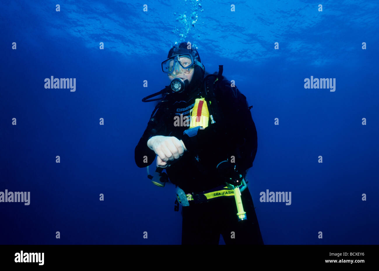 Sous-marine Plongée sous-marine au large de l'île de la Grenade, dans les Antilles. Banque D'Images