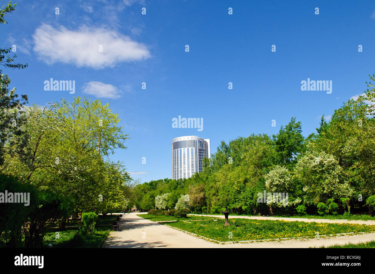 Magnifique allée dans un parc de la ville Banque D'Images