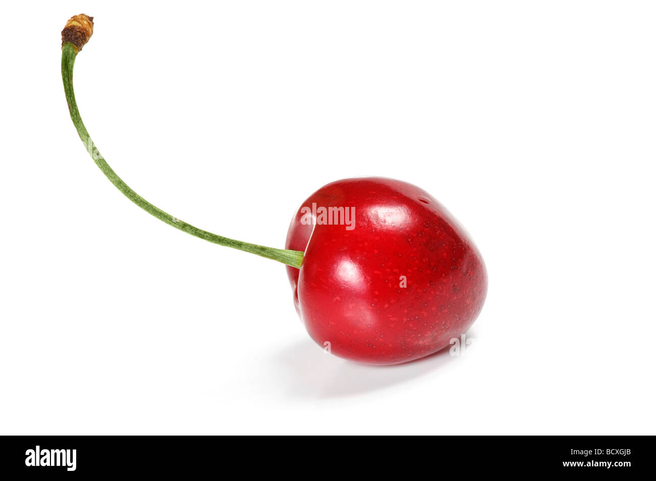 Sweet Cherry isolated on white Banque D'Images