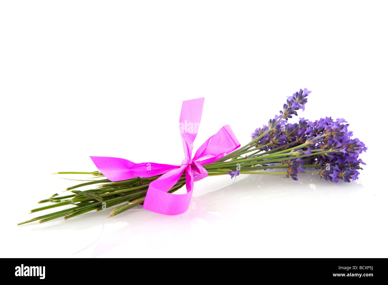 Bouquet De Fleurs De Lavande Gaies Avec Noeud Rose Isolated