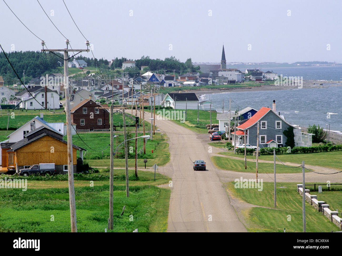 Petite matane Banque de photographies et d’images à haute résolution