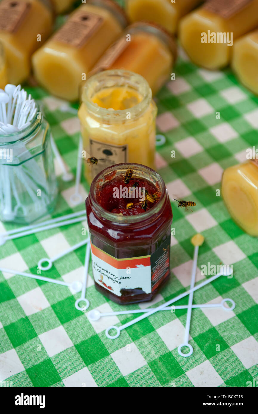 Guêpes en vol bourdonnant autour d'un pot de confiture sur une table Banque D'Images