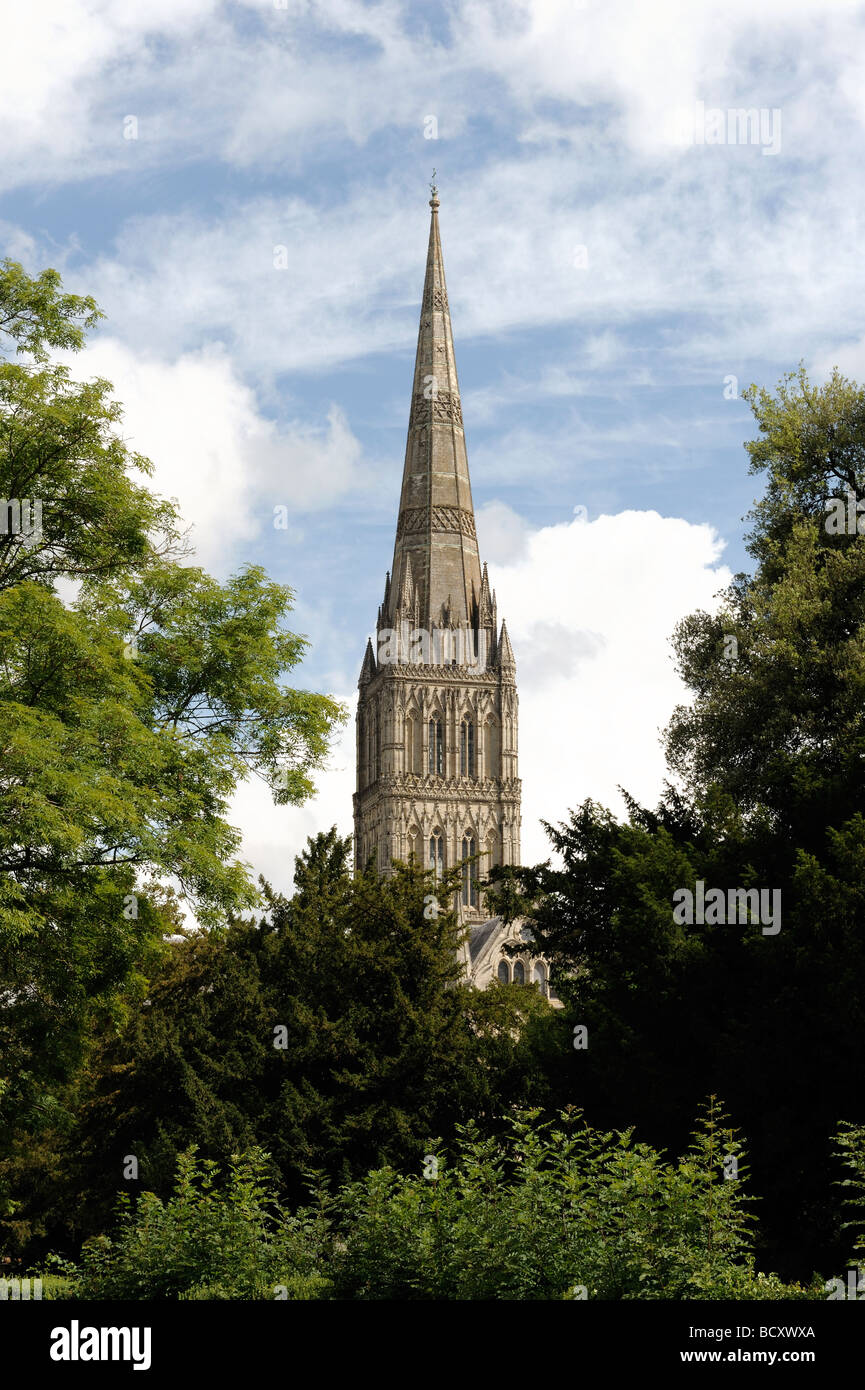 La cathédrale de Salisbury Wiltshire Banque D'Images