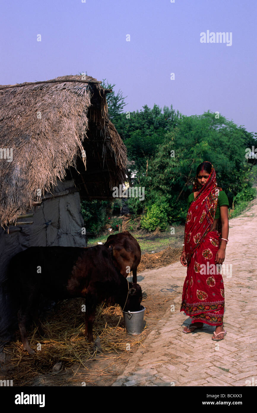 Inde, Bengale occidental, Sunderbans, femme Banque D'Images