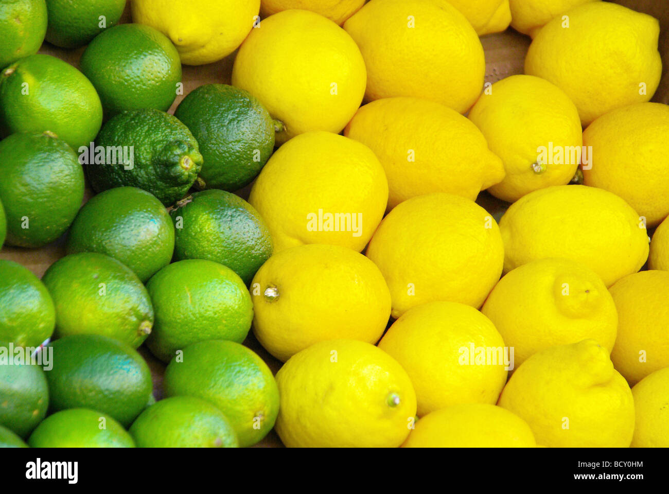 Limone Zitrone lime citrous 01 Banque D'Images