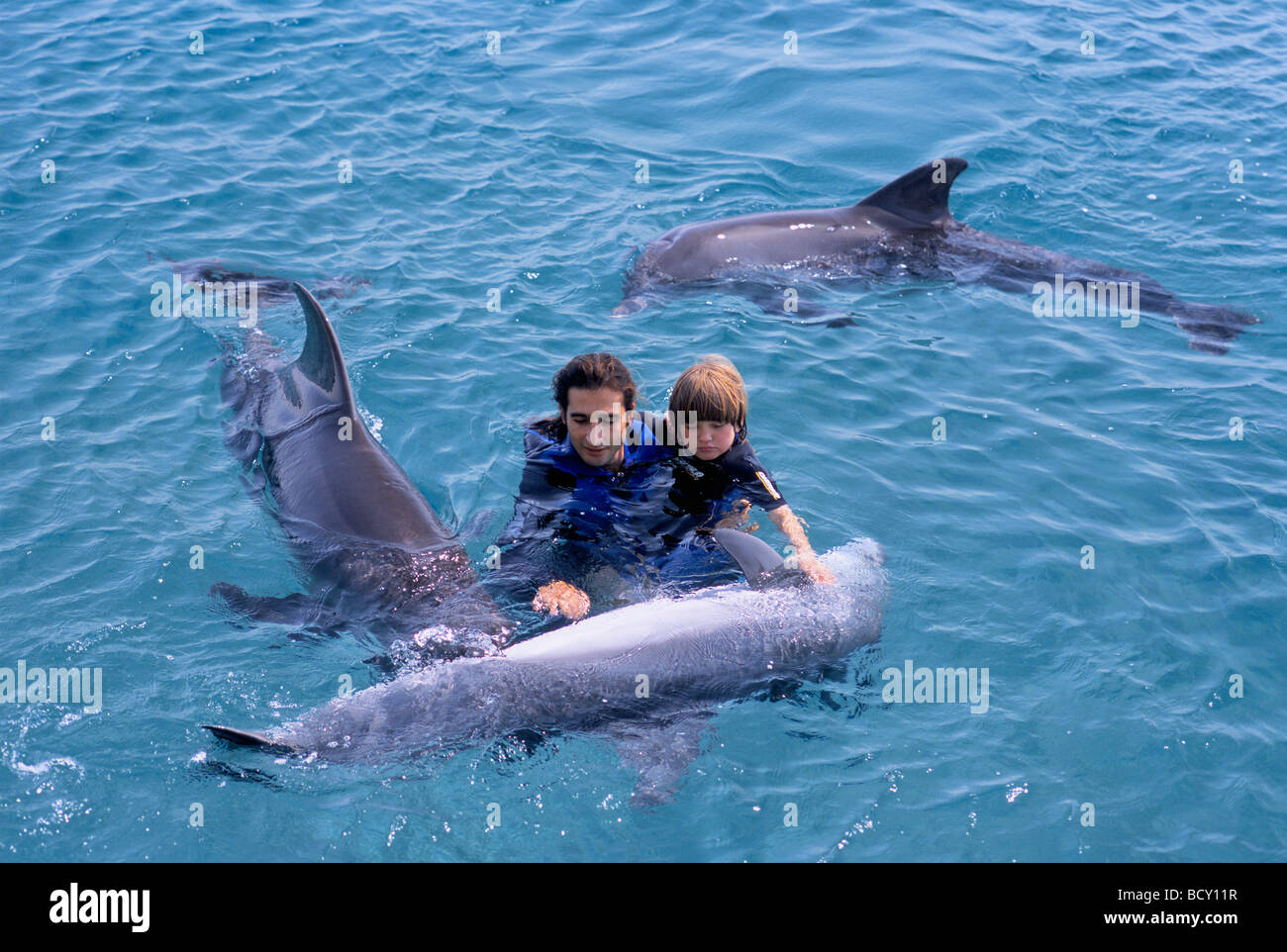Enfant autiste reçoit un traitement avec dolphin trainer et des grands dauphins Banque D'Images