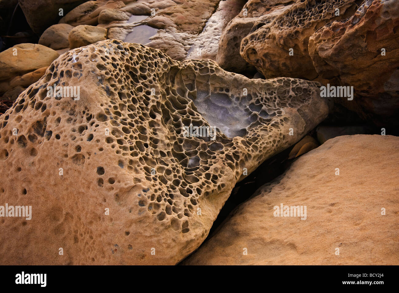 Grès érodé avec boulder, tafoni Salt Point State Park, dans le comté de Sonoma, en Californie Banque D'Images