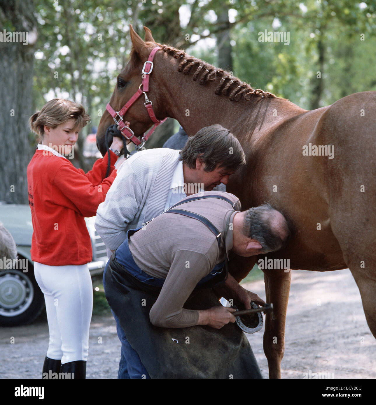 Raccord hoeseshoe Ferrier Banque D'Images