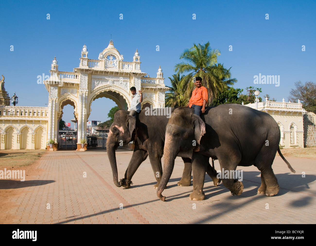 L'intérieur de l'éléphant du palais du Maharaja de Mysore, Karnataka, Inde Banque D'Images