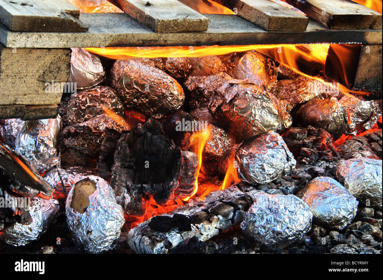 Israël Kibboutz Ashdot Yaacov Jordan Valley Lag Ba Omer fête avec un feu de cuisson en papillote de pommes de terre dans l'incendie Banque D'Images