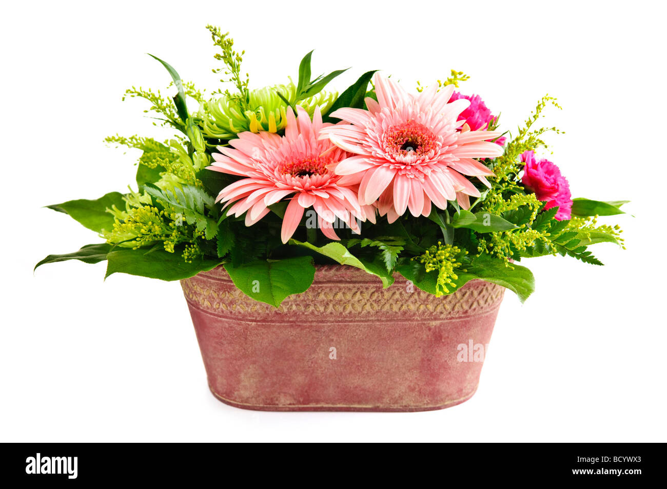 Arrangement de fleurs isolées avec gerbera et chrysanthèmes Banque D'Images