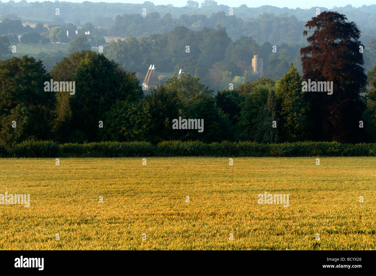 Vue sur Champs à oast maisons et église dans le Kent, England, UK Banque D'Images