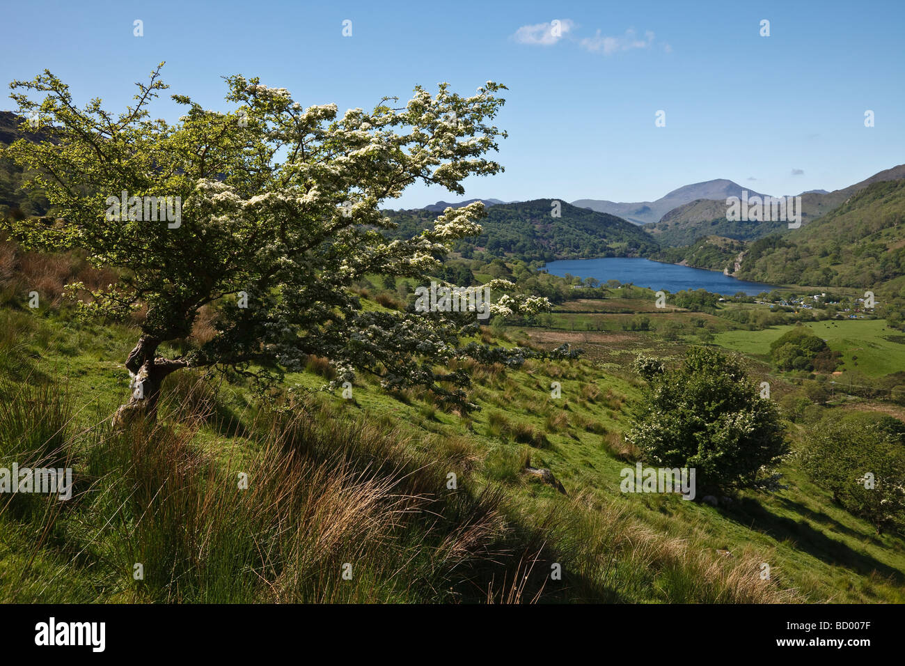 Llyn Gwynant, Snowdonia, parc national de Snowdonia (Eryri), Gwynedd, pays de Galles Banque D'Images