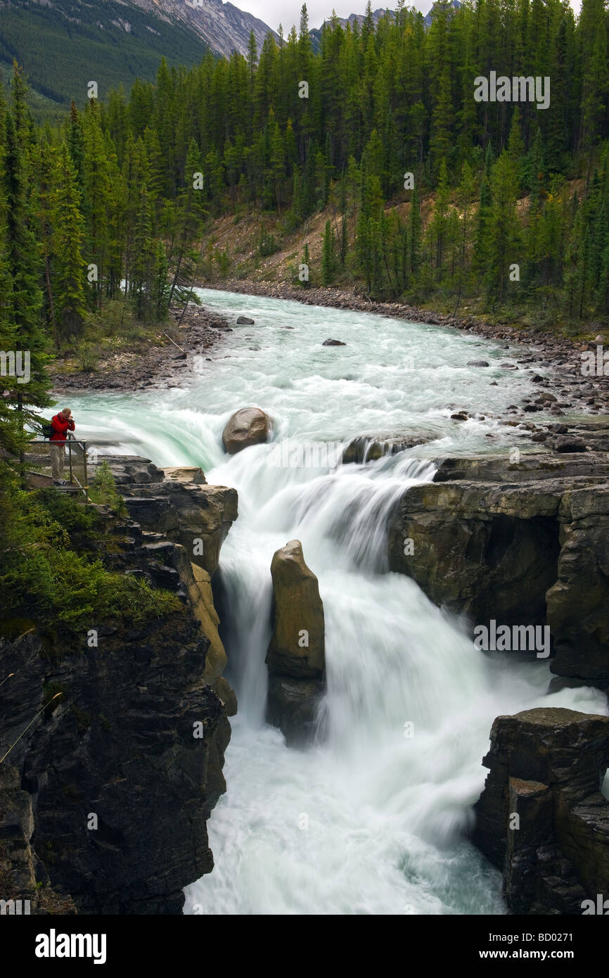 Sunwapta Falls dans le parc national Jasper, Alberta, Canada Banque D'Images